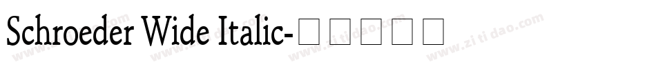 Schroeder Wide Italic字体转换